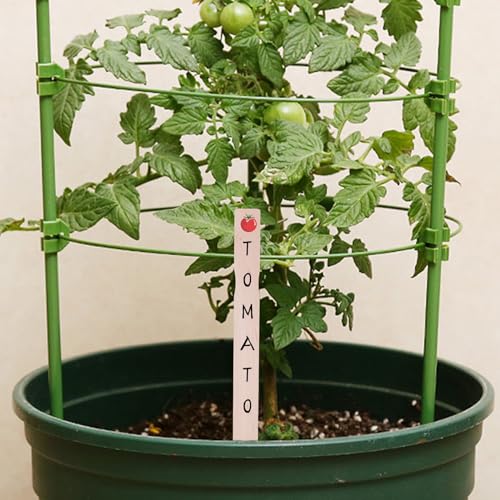 12 Inch Paint Sticks, 50 Pack Paint Stir Sticks, Wooden Paint Stirrers, Paint Stick for Mixing Epoxy and Resin HANWER