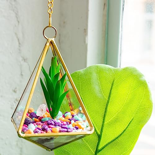 STMT D.I.Y. Crystal Terrarium, Terrarium Kit, DIY Terrarium Kit, Kids Terrarium Kit, Craft Kit, Terrarium Kit for Kids, Arts and Crafts for Kids, STMT