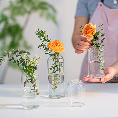 Glass Bud Vases for Flowers - Hewory Blown Modern Small Glass Vases for Centerpieces Set of 6, Mini Clear Bulk Flower Vases for Wedding Party Events Hewory