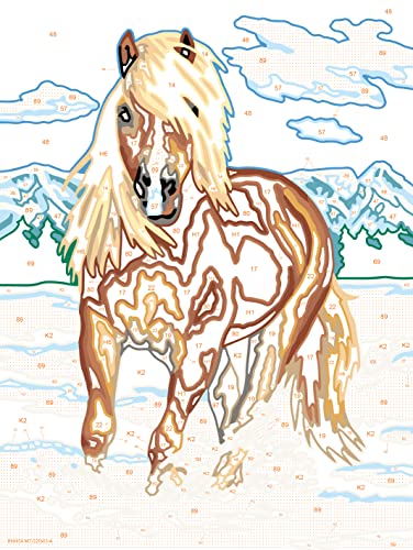 Ravensburger CreArt The Royal Horse Paint by Numbers Kit for Kids - Painting Arts and Crafts for Ages 9 and Up Ravensburger