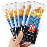 AROIC Painting Brush Set, 30 Packs/300 Pieces, Nylon Brush Head, Suitable for Oil and Watercolor, Perfect Suit of Art Painting, Best Gift for AROIC