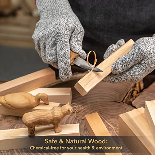 BeaverCraft BW16 Pcs Basswood Carving Blocks Carving Wood Carving Wood Whittling Wood Bass to Carve Wood Carving Kit for Beginners Basswood Blocks