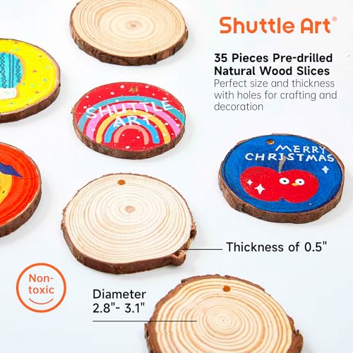 Wood Slices Kit, Shuttle Art 35 PCS Unfinished Natural Wood Slices with Pre-Drilled Hole, Acrylic Paint, Permanent Markers, Jute Twine, DIY Craft for - WoodArtSupply