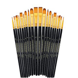 Transon 20pcs Art Painting Brush Set with Acrylic Paint Set 12-Color TRANSON