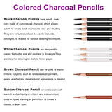 HIFORNY 10 Pieces Colored Charcoal Pencils for drawing- Black White Charcoal Pencils for Sketching,Shading,Blending,Portrait - Ideal for Beginners & HIFORNY
