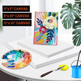 3 Pack Canvases for Painting with Multi Pack 11x14", 5x7", 8x10", Painting Canvas for Oil & Acrylic Paint ESRICH