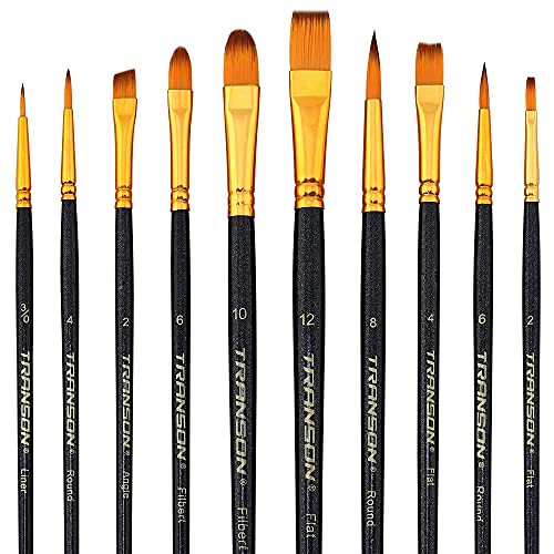 Transon 20pcs Art Painting Brush Set for Acrylic Watercolor Gouache Hobby Craft Face Painting - WoodArtSupply