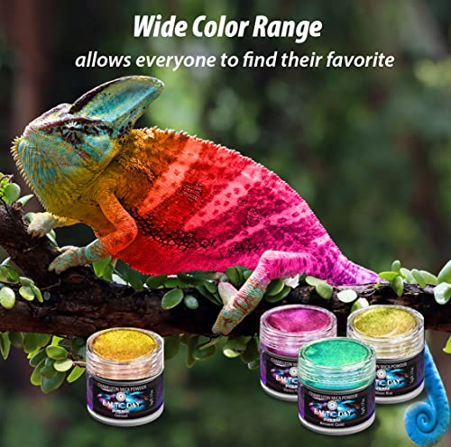 BALTIC DAY - Chameleon Mica Powder, 16 Jars of Color Shift Mica Powder Set  - Epoxy Resin Color Pigment Powder - Chameleon Powder - Holographic Mica
