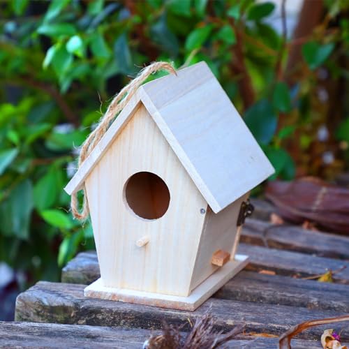 Barydat 6 Pcs Hanging Bird Houses for Outside Unfinished Wooden Bird Houses to Paint and Build DIY Birdhouse Kits for Kids Girls Boys Arts and Craft