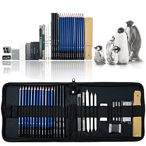 LIGHTWISH Professional Sketch and Drawing Pencil Kit with Graphite Pencils, Charcoal Pencils, Graphite Sticks, Tortillon blending Tool, 32-Piece - WoodArtSupply