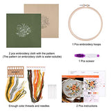 FEPITO 2 Sets Full Range Embroidery Starter Kit with Pattern and Instructions Cross Stitch Kit Includes 2 Pcs Embroidery Clothes with Floral Pattern, FEPITO
