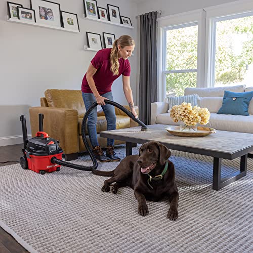 CRAFTSMAN CMXZVBE38785 1-1/4 in. Natural Hair Dusting Brush Wet/Dry Vac Attachment with 1-7/8 in. and 2-1/2 in. Adapters Craftsman