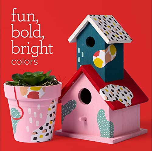 Apple Barrel Multi PROMOABMPO22, 21 Piece DIY Set Featuring 16 Surface Paints, 1 Mod Podge Outdoor Acrylic Sealer and 4 Foam Brushes, Large Apple Barrel