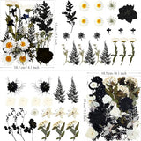 MIKIYA 84Pcs Black Dried Pressed Flowers for Resin Molds, Bulk Real Natural Dry Floral for DIY Art Crafts, Epoxy Jewelry, Candle, Soap Making, Nails MIKIYA