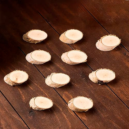 Wooden Slices 10 Pcs Kit for Arts DIY Crafts Home Decor- Circle and Oval Shapes of Unfinished Wood Discs Blank Cutouts