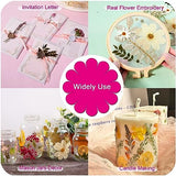 12“ Large Bulk Winter White Dried Pressed Flowers for Art Crafts, Real Dry Natural Flower Leaf for Resin Mold, Jewelry Making, Glass Frame (Winter ZMRU