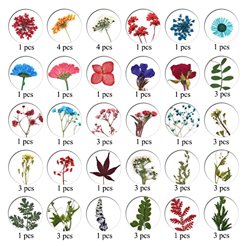 LUCISKY 96 Pcs Pressed Dried Flowers Real Natural Leave Petals for DIY Resin Molds Jewelry Nail Candle Crafts LUCISKY