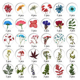 LUCISKY 96 Pcs Pressed Dried Flowers Real Natural Leave Petals for DIY Resin Molds Jewelry Nail Candle Crafts LUCISKY