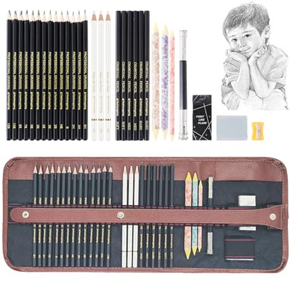 Heshengping 31 Drawing Sketching Pencils Kit, Portable Artist Supples Travel Case Set has Graphite, Charcoal, white color pencil, Blending Stump, - WoodArtSupply