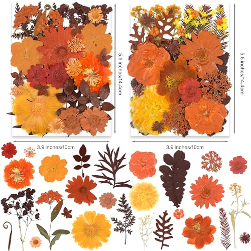 141PCS Brown Fall Dried Pressed Flowers for Resin - Youthbro Real Nature Flowers Herb Set for Christmas DIY Candle Soap Vase Making Nail Card - WoodArtSupply