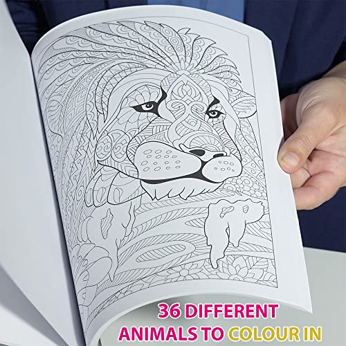 Marvin's Magic - Colouring Book & Sketch Pad Bundle - Animal Colouring Book - 36 Pages - Colouring Books for Children - Adult Colouring Books