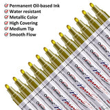 Lesun Gold Paint Pens Paint Markers, 12 Pack Waterproof Oil-Based Paint Pen Set Quick Dry and Permanent, Markers for Rock Painting, Stone, Ceramic, Lesun