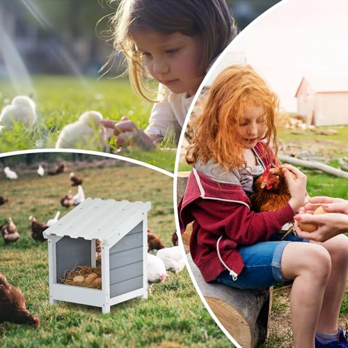 PETSFIT Nesting Boxes for Chicken Coop, Wood Single Compartment Chicken Nesting Boxes for Laying Eggs with PVC Roof for Hens, Ducks, and Poultry - WoodArtSupply