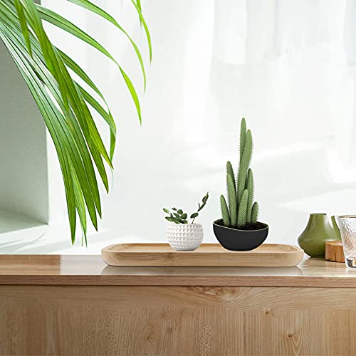 2 PCS 5 x12 Inch Rectangle Bamboo Saucer, Rectangle Bamboo Service Tray, Rounden Rectangle Wooden Plant Saucer Tray for Succulent Plant Pots1 MUKCHAP