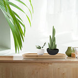 2 PCS 5 x12 Inch Rectangle Bamboo Saucer, Rectangle Bamboo Service Tray, Rounden Rectangle Wooden Plant Saucer Tray for Succulent Plant Pots1 MUKCHAP