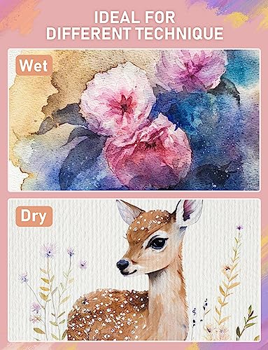 Nicpro 48 Colors Watercolor Paint Set with 8PCS Squirrel Painting Brushes, 25 Sheet Water Color Paper, 2 Water Brush Pens, Palette, Sponge, Art - WoodArtSupply