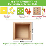 nanayo 4-for-1 Play Kit Includes Object Permanence Box, Montessori Coin Carrot Harvest Game, Matchstick Color Drop Game – Toys for Babies 6-12 nanayo