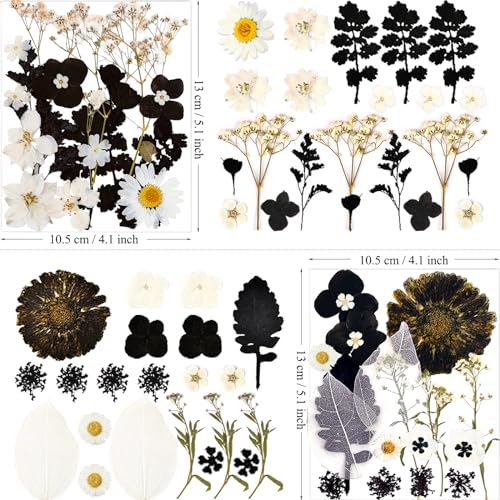 MIKIYA 84Pcs Black Dried Pressed Flowers for Resin Molds, Bulk Real Natural Dry Floral for DIY Art Crafts, Epoxy Jewelry, Candle, Soap Making, Nails MIKIYA