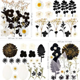 MIKIYA 84Pcs Black Dried Pressed Flowers for Resin Molds, Bulk Real Natural Dry Floral for DIY Art Crafts, Epoxy Jewelry, Candle, Soap Making, Nails MIKIYA