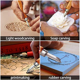 Wood Carving Tools Kit-Premium12pcs SK5 Hand Carving Tools Set,Professional Carving Kits for Beginners, Perfect Carving Knife Set for Carving CarClothes