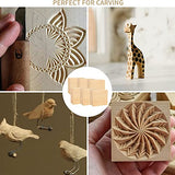 RHBLME 12 PCS Basswood Carving Blocks, 4" x 4" x 1" Unfinished Wood Blocks for Carving, Wooden Cubes Soft Solid Wooden for Beginners or Expert RHBLME