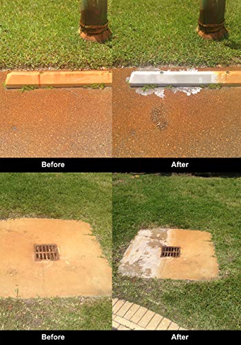 Quality Chemical's Rust-B-Gone Rust Stain Remover/Rust Reformer/Rust Neutralizer for Metal/Metal Rust Remover/Rust Remover/Rust Inhibitor,/Rust Quality Chemical