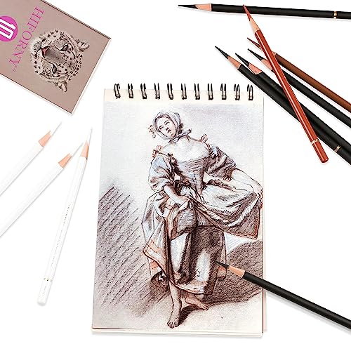 HIFORNY 10 Pieces Colored Charcoal Pencils for drawing- Black White Charcoal Pencils for Sketching,Shading,Blending,Portrait - Ideal for Beginners & HIFORNY