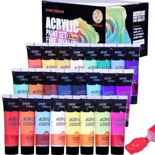Acrylic Paint Set 24 Colors Acrylic Paints for Painting, Art Craft Paint Gift for Artists Kids Beginners, Pumpkin Canvas Ceramic Rock Painting Kit SNOW COOLER