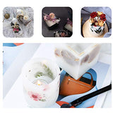 4 Packs Real Natural Dried Flowers for Making Mobile Phone Case Candle Handmade Crafts Epoxy Resin Pendant Necklace Jewelry DIY Accessories,Mixed QUALLON