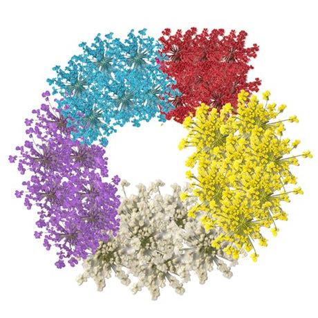 60 Pcs Dried Pressed Flowers for Resin DIY Art Crafts Natural Dry Floral Epoxy Jewelry Real Lace Flower Decor Cakes Phone Cases Candles Handmade Soap TopFunny