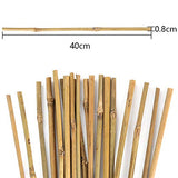 Pllieay 20PC 1.33'/16 Inch Natural Plant Stakes Garden Stakes Bamboo Sticks for Outdoor and Indoor, Potted Tomato Plant Support Pllieay