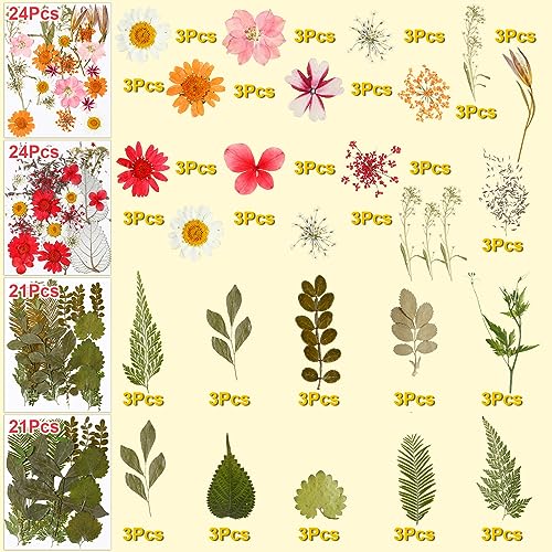 Fabbay 712 Pcs Dried Pressed for Resin with Tweezer Flowers Leaves Butterfly Stickers Dry Flowers Leaves Bulk Natural Dried Flower Scrapbook Fabbay