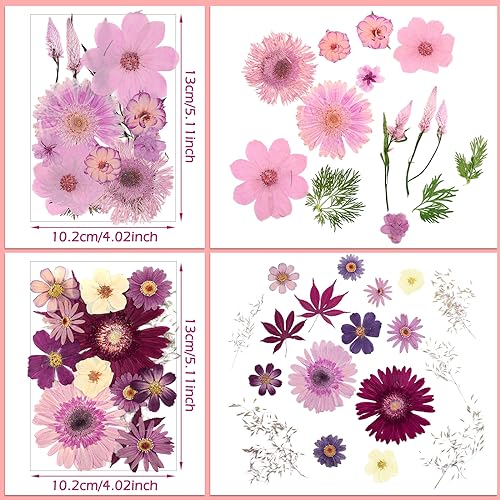 Pressed Flowers Bulk Dried Flower for Resin Mold, Dried Flower Leave Natural with Tweezer for Crafts Christmas DIY Gift Scrapbooking(Rustic Style) Nuanchu