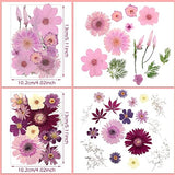 Pressed Flowers Bulk Dried Flower for Resin Mold, Dried Flower Leave Natural with Tweezer for Crafts Christmas DIY Gift Scrapbooking(Rustic Style) Nuanchu