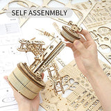 ROKR 3D Wooden Puzzle Mechanical Music Box,DIY Aircraft Model Kits to Build,Best Toy Gift for Kids/Teens/Adults on Birthday,Decoration for Room ROKR