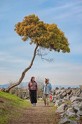 Stanley IceFlow Stainless Steel Tumbler with Straw - Vacuum Insulated Water Bottle for Home, Office or Car Reusable Cup with Straw Leak Resistant STANLEY