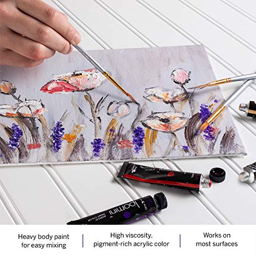 Acrylic Paint Brushes Set of 15, with Paint Set Included with 24 Acrylic Paints LOOMINI