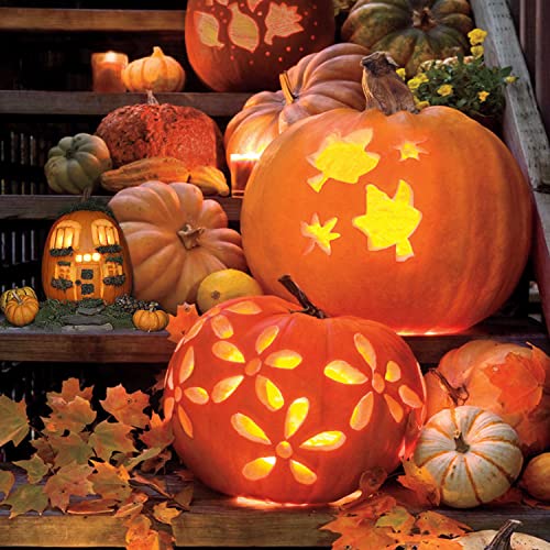 Elmchee Halloween Pumpkin Carving Tools,Jack-O-Lanterns 13 Piece Professional pumpkin cutting carving supplies tools Kit stainless steel lengthening Elmchee