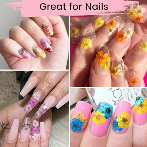 600 PCS Dried Flowers for Resin Crafts, Small Dried Flowers for Nails, Real Natural Tiny Dried Pressed Flowers for Jewelry Earrings Epoxy Molds, LGFMGWH