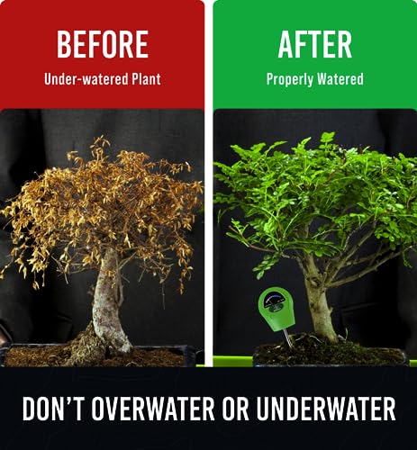 GROWIT Soil Moisture Meter for Plants - Plant Moisture Meter for House Plants | Hydrometer for Plants | Plant Moisture Meter Houseplants | Water Craft911